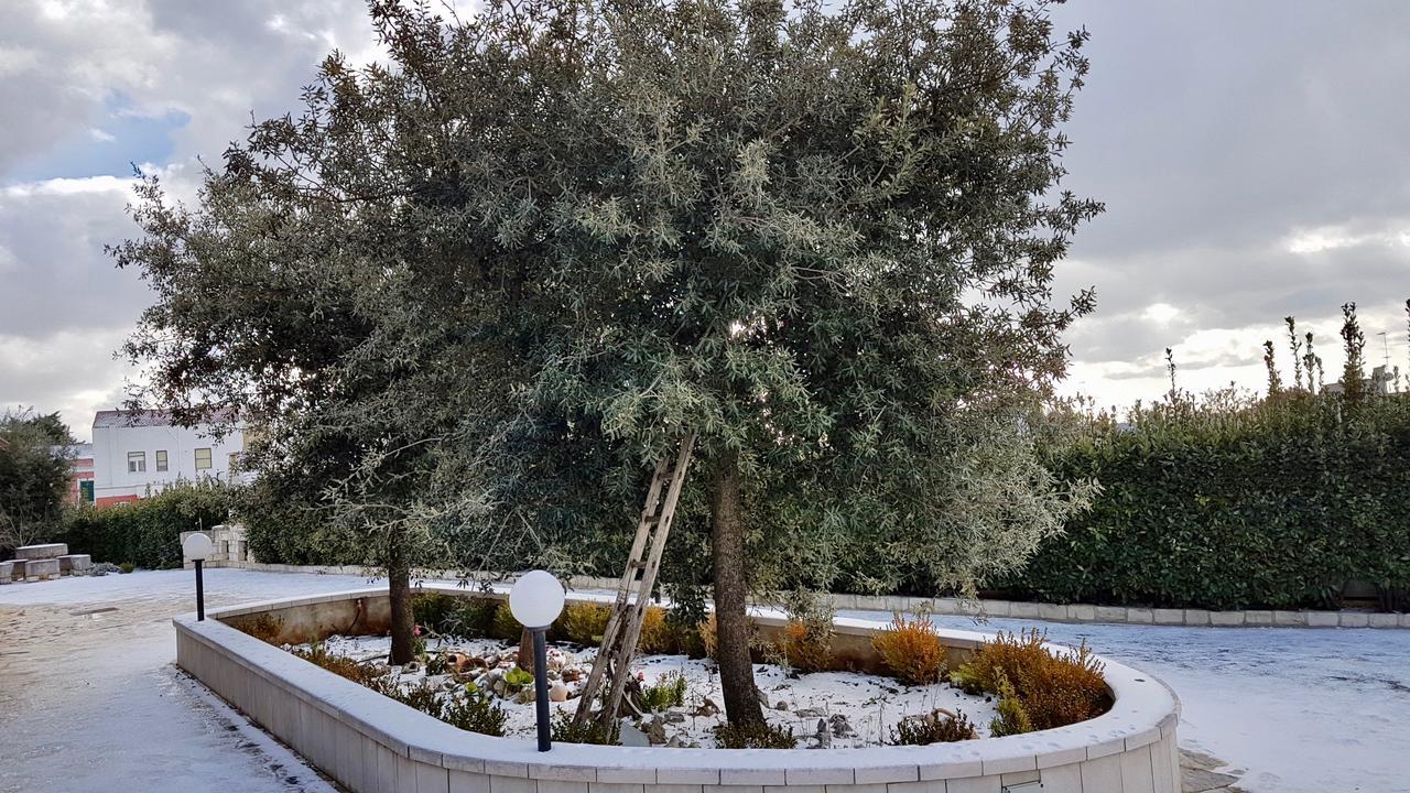 Villa Wonder Alberobello Exterior foto